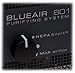 Blueair 601 Air Purification System