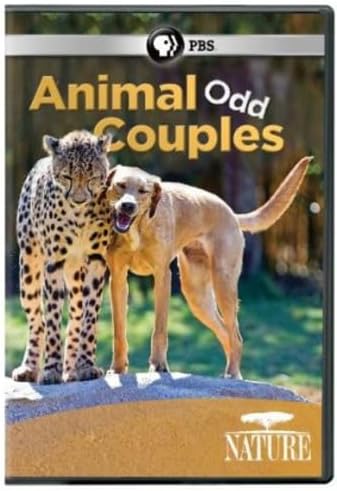 Amazon.com: Animal Atlas: Family Time : Artist Not Provided
