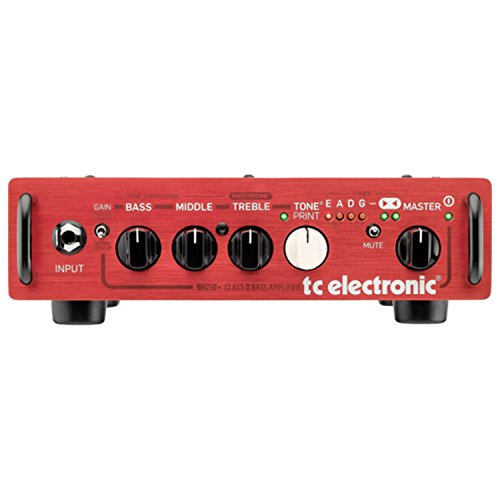 TC Electronic BH250 Bass Guitar Head w/ Speaker Cable, 1/4" to Speakon Adapter, Headphones, Mic Cable, and Instrument Cable!