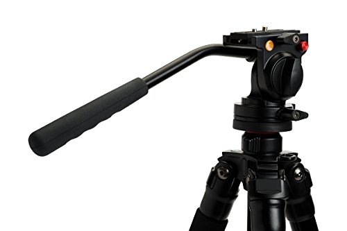 Celestron 82052 Regal Premium Stativ – Schwarz – Bild 7