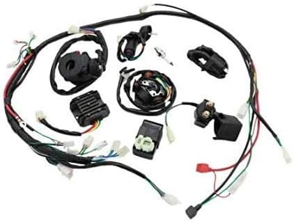 Templehorse Complete Electrics All Wiring Harness Wire Loom Assembly for GY6 4-Stroke Engine Type 125cc 150cc Pit Bike Scooter ATV Quad