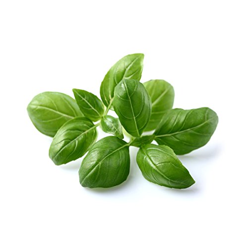 Click and Grow Smart Garden Basil Plant Pods, 3-Pack