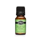 Fresh Cut Grass Fragrance Oil - Premium Grade Scented Oil - 10ml