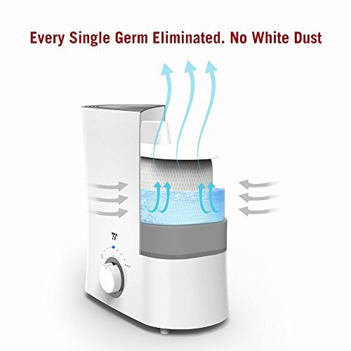 TaoTronics Evaporative Humidifier for Guitar Room, Top Fill Humidifiers