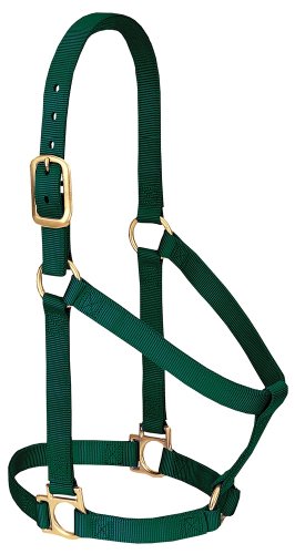 Weaver Leather Basic Non-Adjustable Nylon Horse Halter, Hunter Green, 1 Average Horse