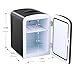 Pathfinder Portable Car Refrigerator Mini Fridge Cooler&Warmer 4 L/6 Cans, 110V&12V Power for Home, Office and Car