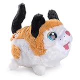 Chubby Puppies Calico Persian Cat Plush