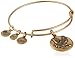 Alex and Ani Sacred Dove II Expandable Rafaelian Bangle Bracelet