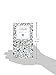 Conspicuous Consumption: Unproduction Consumption of Goods Is Honourable (Penguin Great Ideas)