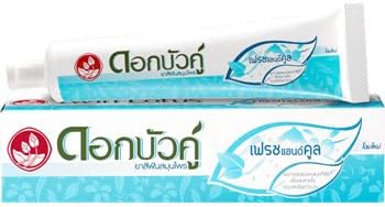 Twin Lotus Herbal Toothpaste Formula Fresh and cool ,150 gram