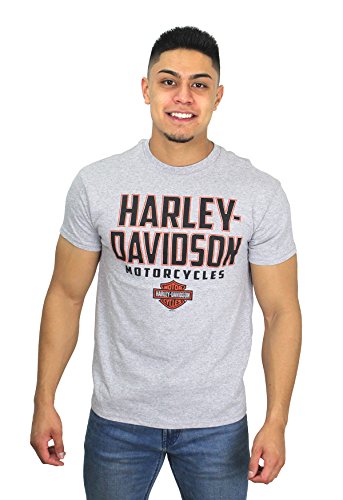 Harley-Davidson 5K18-HE76 Mens Bold Biker B&S Grey Short Sleeve (Large)
