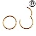 WensLTD Seamless Hinged Segment Sleeper Clicker Ring Hoop Ear Lip Nose Septum Piercing (Rose Gold)