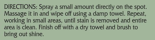 Farnam Green Spot Out Spray-On Dry Clean Shampoo, 16 fl. oz.