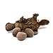Outward Hound Kyjen 31008 Egg Babies Platypus Plush Dog Toys Squeak Toy Dog Puzzle, Large, Brown