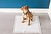 Petmate Precision Pet Little Stinker Housebreaking Pads 14 Per Pack