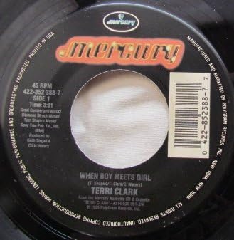 When Boy Meets Girl / Flowers After The Fact (Vinyl 45)