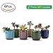 T4U 2.5 Inch Small Ceramic Succulent Planter Pot with Drainage Hole Set of 6, Ice Crack Glaze Plant Container for Cactus, Succulent Plant Gifts for Women Mom Aunt Home Office Decor