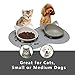 Automatic Dog Treat Dispenser