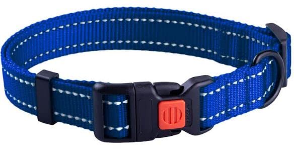 CollarDirect Reflective Dog Collar for a Small, Medium, Large Dog or Puppy with a Quick Release Buckle - Boy and Girl (Blue, 12''-16'') — image 1