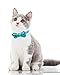 TagME Breakaway Cat Collar, Cat Safety Collar with Cute Bow Tie & Bell, Plaid Design Adjustable for Kitty 1 Pack, Teal