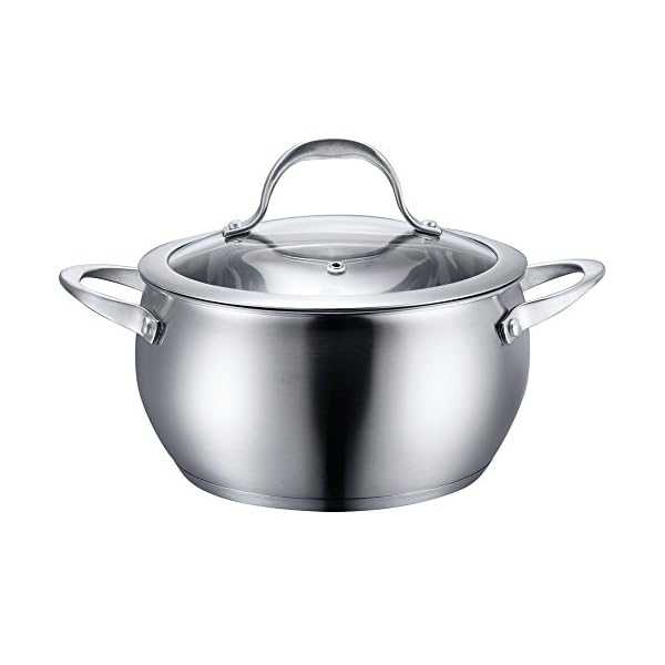 Stainless Steel Cookware Sauce Pot with Lid (6 Quart)