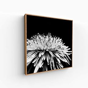 Canvas Wall Art for Living Room, Bedroom Monochrome Image Framed Canvas Prints for Home Decoration Ready to Hang - 16x16 inches