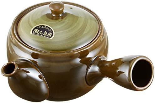 Tokoname Kyusu Teapot(Japan Import) 10.82 ounces