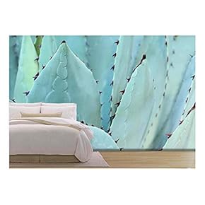 Sharp Pointed Agave Plant Leaves Bunched Together. - Removable Wall Mural | Self-Adhesive Large Wallpaper - 66x96 inches