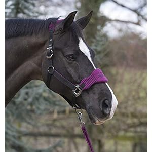 LeMieux Vogue Fleece Headcollar And Leadrope, Unisex Adulto LeMieux LeMieux Vogue Fleece Headcollar And Leadrope, Unisex Adulto