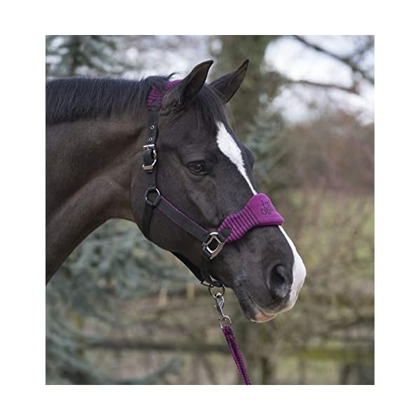 LeMieux Vogue Fleece Headcollar And Leadrope, Unisex Adulto LeMieux LeMieux Vogue Fleece Headcollar And Leadrope, Unisex Adulto