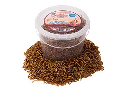 Chubby Mealworm (3 Litre Tub), Dried Mealworms For Wild Birds, Protein Rich Meal Worms High Energy Mealworm for Birds, Reptiles, Gecko