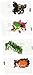 Realistic Gummy Bugs - Candy & Goodies - 454G