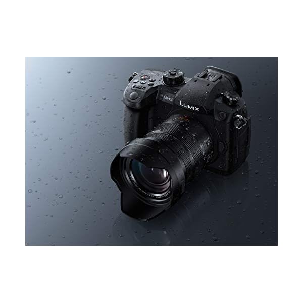 Panasonic Fotokamera Lumix G Evil, Fotos und Videos in 6K, Leica von 12-60 mm, MOS-Sensor von 20,3 MP, 5-Achsen-Dual-Bildstabilisator I.S. 2, Schwarz – Bild 6