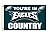 NFL 3-by-5 Foot Flag with Grommets
