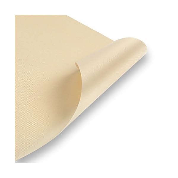 14-X-14-9-Pcs-Non-stick-Dehydrator-Sheets-Non-Stick-Sheets-Reusable-Smooth-Easy-Wash-Fruit-Leathers-Food-Taffy-Dehydrator-Sheets