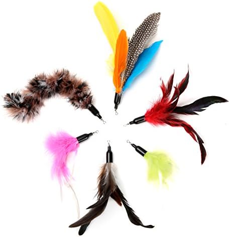 Cat Toys, Teaser Toy Set, Replacement Feathers For Interactive Cat and Kitten Toy Wand (6PCS)