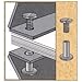 3/4 in. Antique Brass Aluminum Chicago Screws/Screw Posts (Qty 100 sets)