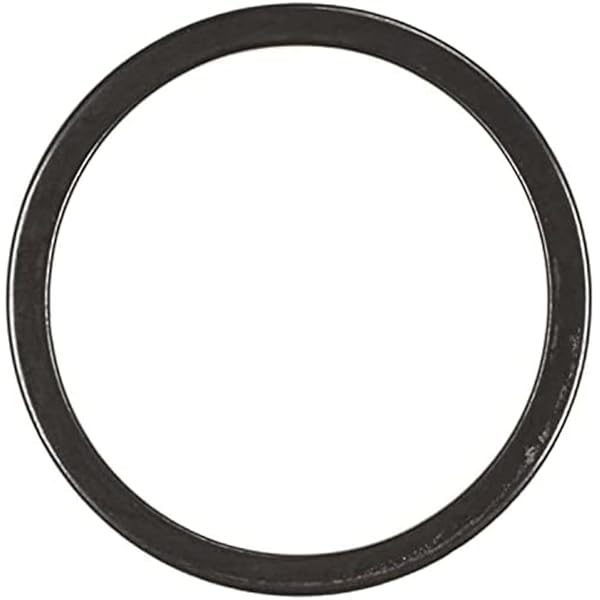 Amazon.com: MAHLE F32742 Catalytic Converter Gasket : Automotive 