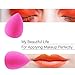 EmaxDesign 2 Piece Makeup Blender Sponge Set Foundation Blending Blush Concealer Eye Face Powder Cream Cosmetics Makeup Sponges, black and rose red, flower, 1 Count