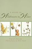 A Guide to Wildflowers in Winter: Herbaceous Plants of Northeastern North America