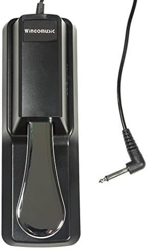 WINGO Common Maintain Pedal for Digital Midi Keyboards, Synthesizers, Digital Piano with Polarity Swap and 1/4 inches Enter Jack