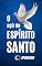 Livro O AGIR DO ESPÍRITO SANTO: Guiados pela Mão de Deus