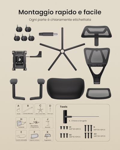 ProtoArc EC100 Ergonomic Office Chair - Desk Chair with 10cm Spring Cushion, Lumbar Support, Adjustable Arms and Headrests, Mesh Swivel Chair for Home and Office, Black