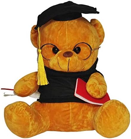 Vinayak Epitome Advocate Graduate Soft Musical Teddy Push and Play (30cm)