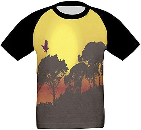 Baby-Boys Decorative Design Devider Raglan Short Sleeve Cotton Shirt