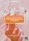 Livro Estudos sobre funcionamento, desenvolvimento e organização das sociedades - Volume 01
