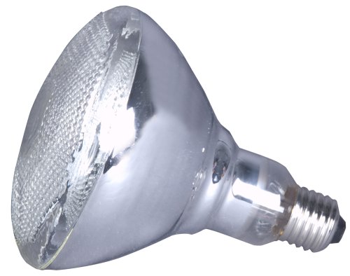 American Dj Ll Par 38 150W Medium Screw Based Par Lamp