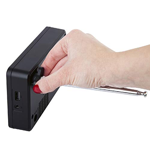 Amazon Basics 16AWG-luidsprekerkabel met vergulde banaanpunten (4 mm) - CL2 - 99,9% zuurstofvrij - 1,80 meter - Afbeelding 6