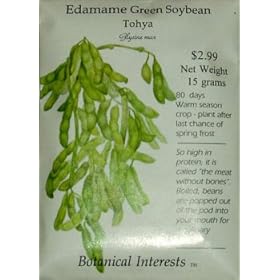 Edamame Green Soybean Seeds 50 Seeds