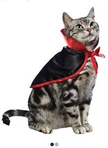 cat vampire costume